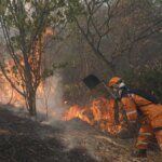 emergencia-por-incendio-en-las-montanas-de-cali:-cinco-casas-arrasadas,-una-adulta-mayor-afectada-y-dos-bomberos-con-lesiones