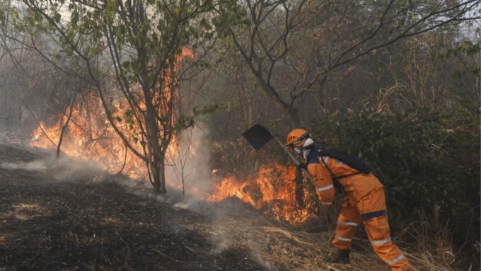 emergencia-por-incendio-en-las-montanas-de-cali:-cinco-casas-arrasadas,-una-adulta-mayor-afectada-y-dos-bomberos-con-lesiones