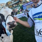 la-mejor-holando-del-prado,-una-vaca-que-da-mas-de-50-litros-y-que-“el-ano-que-viene-va-a-estar-todavia-mejor”