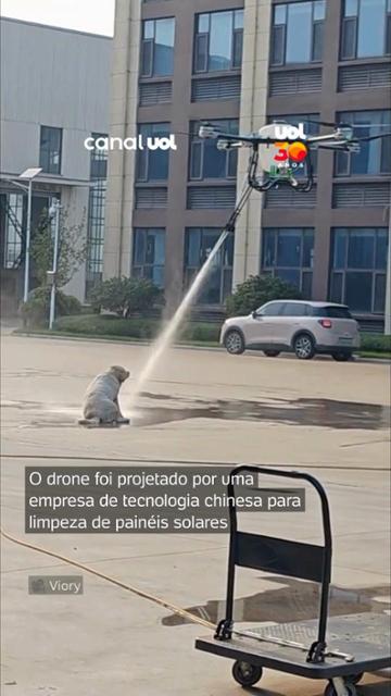 dia-de-cao!-drone-gigante-da-?banho-surpresa?-em-golden-retriever-na-china