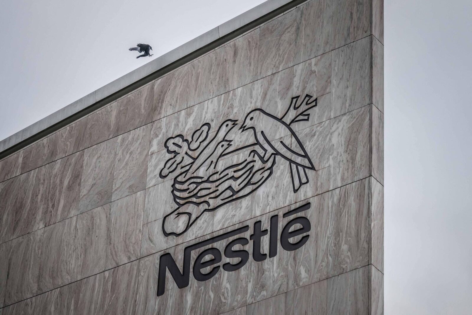 india-encontra-irregularidades-em-alimento-infantil-da-nestle