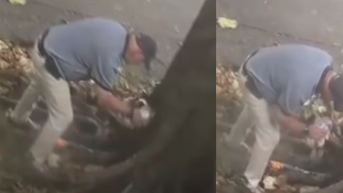 habitantes-de-medellin-denuncian-que-estarian-secando-un-arbol-con-aceite-quemado-o-gasolina-para-justificar-su-tala:-¿cual-es-la-multa?