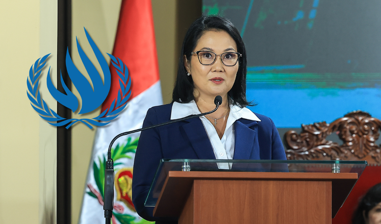 relatores-de-la-onu-expresan-preocupacion-por-riesgos-para-el-ambiente-y-derechos-humanos-en-el-pedido-de-facultades