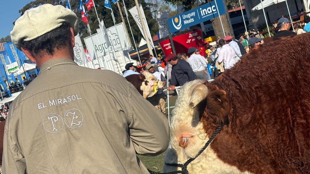 planteo-de-ganaderos-e-industriales,-en-la-rural-del-prado,-sobre-la-distribucion-de-la-cuota-carnica-de-la-ue