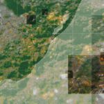el-oro-bajo-el-suelo-uruguayo:-la-historia-de-un-negocio-al-compas-del-precio-internacional