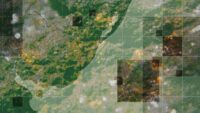 el-oro-bajo-el-suelo-uruguayo:-la-historia-de-un-negocio-al-compas-del-precio-internacional