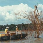 mymba-kuera:-como-foi-o-monumental-resgate-de-mais-de-30-mil-animais-durante-a-construcao-de-itaipu,-entre-o-brasil-e-o-paraguai