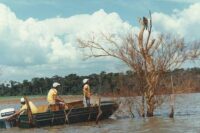 mymba-kuera:-como-foi-o-monumental-resgate-de-mais-de-30-mil-animais-durante-a-construcao-de-itaipu,-entre-o-brasil-e-o-paraguai