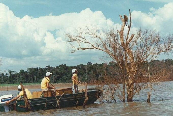 mymba-kuera:-como-foi-o-monumental-resgate-de-mais-de-30-mil-animais-durante-a-construcao-de-itaipu,-entre-o-brasil-e-o-paraguai