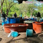 desmantelan-cuatro-laboratorios-dedicados-a-la-produccion-de-drogas-sinteticas-y-narcotrafico-en-mexico