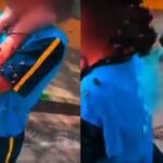 aluna-atacada-por-enxame-de-abelhas-na-porta-de-escola-esta-fora-de-risco