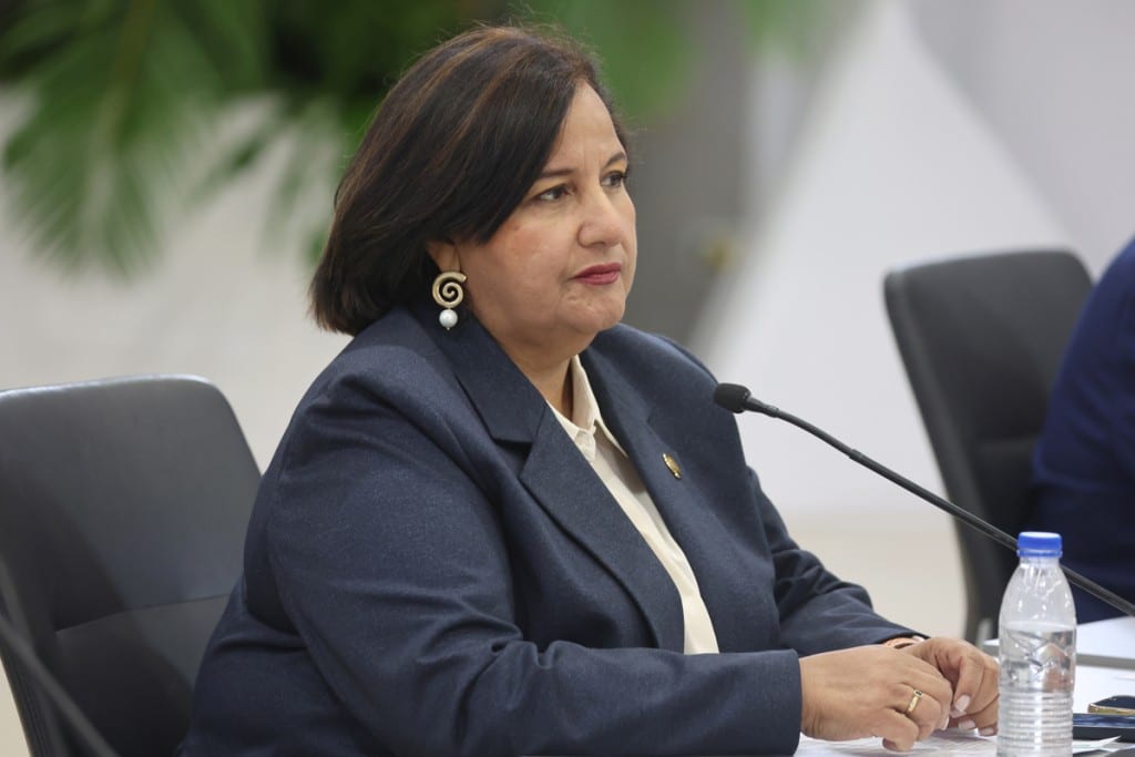 dinorah-figuera-considera-libertad-de-presos-politicos-parte-del-dialogo