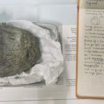 un-fosil-encontrado-en-1985-en-la-antartida-fue-catalogado-como-un-reptil-marino;-cientificos-vuelven-a-examinarlo-y-descubren-que-era-de-un-titanosaurio-de-6-metros