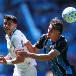 palmeiras-perde-gols-e-fica-no-zero-com-o-gremio-em-porto-alegre