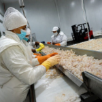 las-exportaciones-pesqueras-saltaron-23%-y-alcanzaron-u$s1.677-millones:-que-productos-impulsaron-el-crecimiento