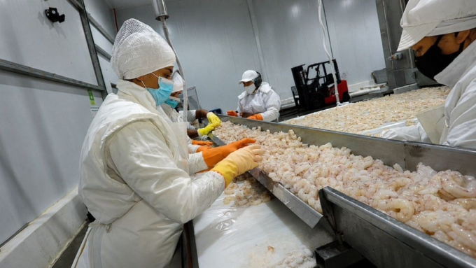 las-exportaciones-pesqueras-saltaron-23%-y-alcanzaron-u$s1.677-millones:-que-productos-impulsaron-el-crecimiento