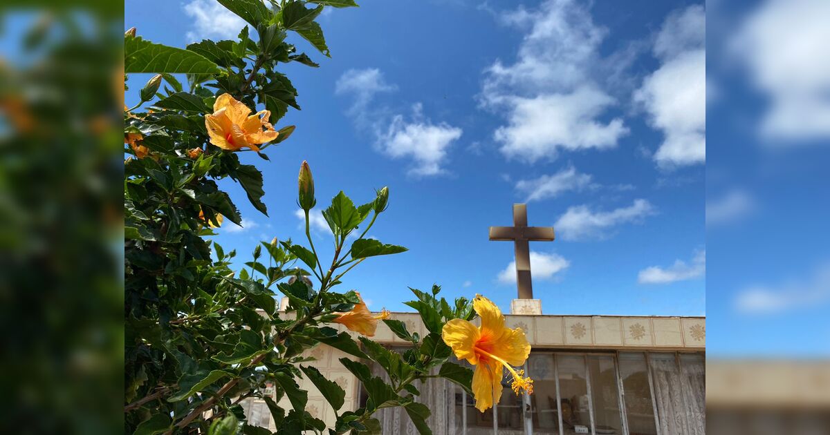 confira-os-falecimentos-desta-segunda-feira-(21)-em-apucarana-e-regiao