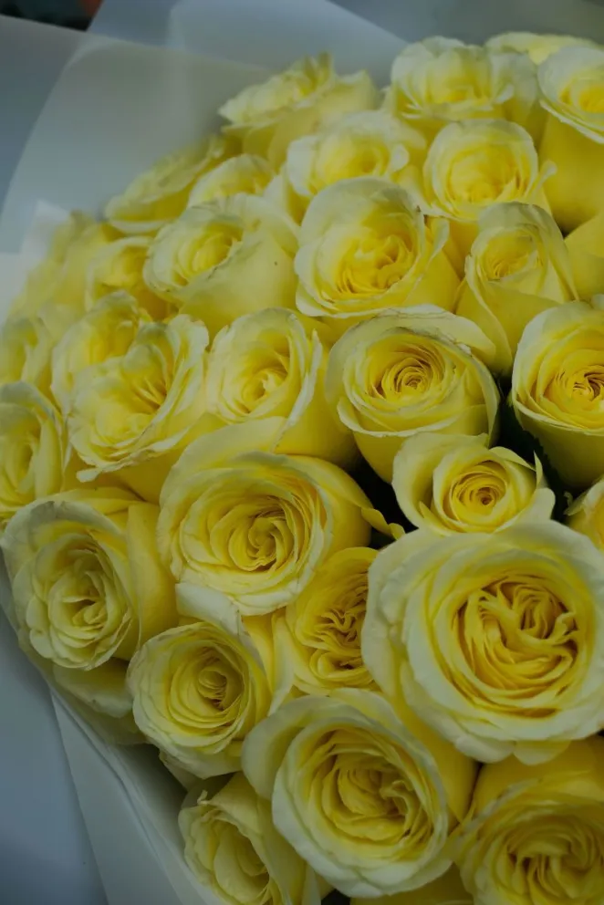 ¿por-que-se-regalan-flores-amarillas-cada-21-de-septiembre?-conoce-el-origen-de-esta-tradicion