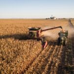 argentina-iguala-a-brasil-y-busca-ser-el-segundo-mayor-exportador-mundial-de-maiz