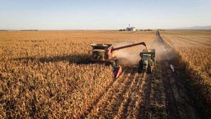 argentina-iguala-a-brasil-y-busca-ser-el-segundo-mayor-exportador-mundial-de-maiz
