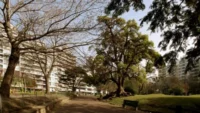 “si-estas-en-la-parada-con-un-celular,-te-lo-sacan-y-siguen”:-vecinos-de-punta-carretas-y-pocitos-reclamaron-por-mayor-inseguridad-y-personas-en-situacion-de-calle