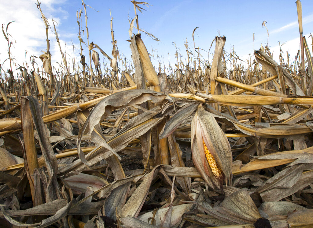 el-nino-extremo-podria-restar-2%-al-pib-de-america-latina-y-sumar-4.8-millones-de-personas-a-la-pobreza,-advierte-cepal