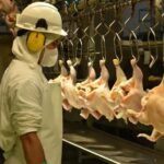 importante-empresa-argentina-ofrece-pagar-parte-de-los-sueldos-con-pollos