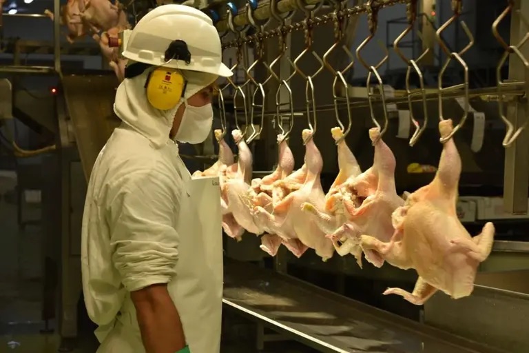 importante-empresa-argentina-ofrece-pagar-parte-de-los-sueldos-con-pollos
