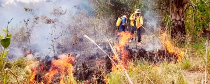 gobernacion-monitorea-incendios-activos-ante-altas-temperaturas