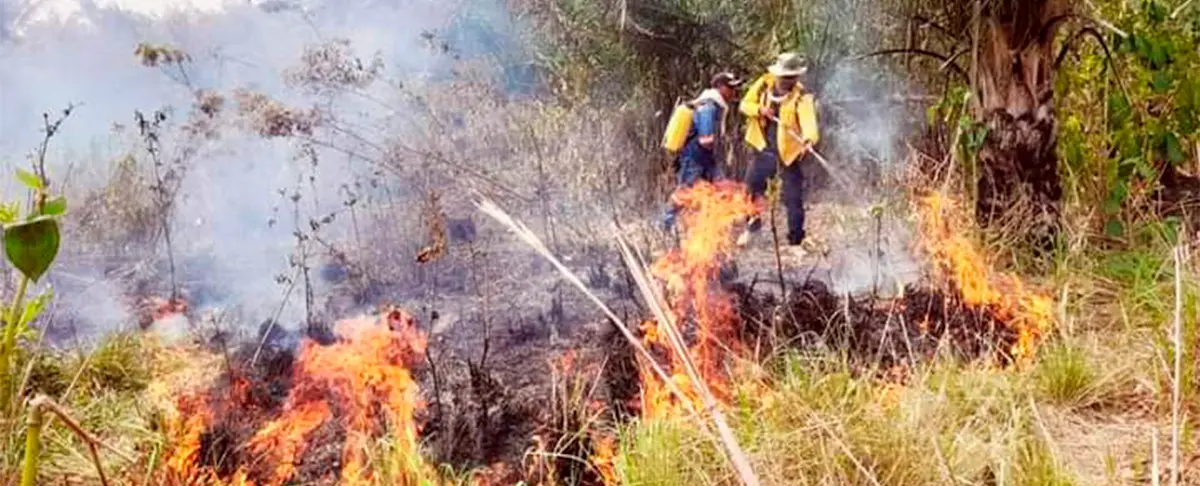 gobernacion-monitorea-incendios-activos-ante-altas-temperaturas
