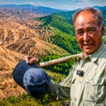 en-1983,-un-empresario-dejo-su-hotel-para-plantar-arboles-en-china:-43-anos-despues,-transformo-montanas-aridas-en-un-‘santuario-verde’