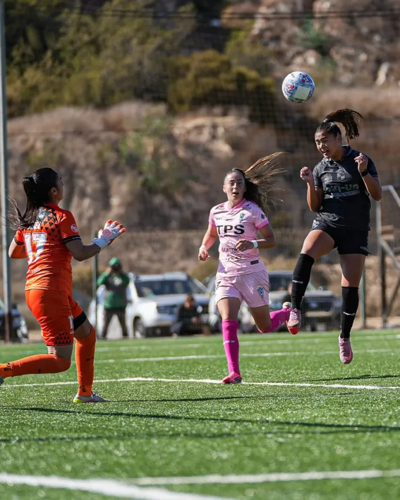 coquimbo-va-por-palestino-en-los-playoffs