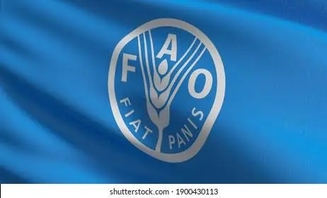 la-fao-presenta-en-fexpocruz-2026-la-iniciativa-“territorios-que-nos-alimentan”