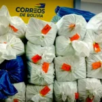 crece-el-comercio-electronico,-correos-de-bolivia-reporta-1-tonelada-de-carga-postal-internacional