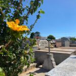 confira-os-falecimentos-desta-terca-feira-(22)-em-apucarana