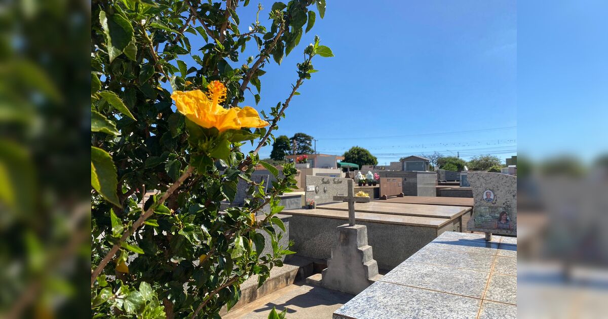 confira-os-falecimentos-desta-terca-feira-(22)-em-apucarana