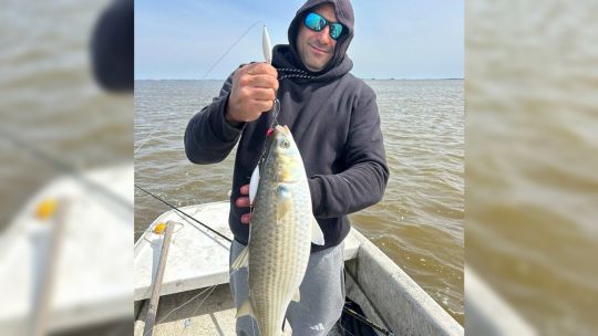primeras-lisas-en-mar-chiquita:-grandes-ejemplares-y-una-pesca-que-promete-mucho