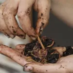 la-“bella-durmiente”-del-suelo:-las-lombrices-y-la-basura-en-uruguay