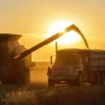 good-news-for-milei:-argentine-agro-industry-projects-new-record-for-2027