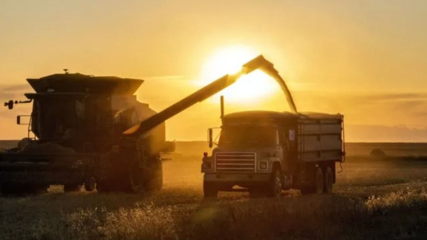 good-news-for-milei:-argentine-agro-industry-projects-new-record-for-2027