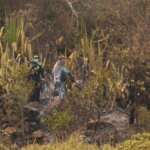 incendio-en-villa-de-leyva-deja-graves-afectaciones-a-los-animales-del-santuario-de-iguaque:-corpoboyaca-esta-‘en-busqueda-de-especies-silvestres’