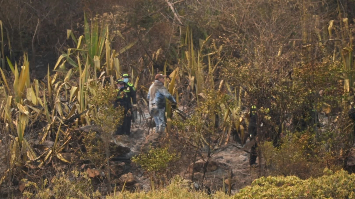 incendio-en-villa-de-leyva-deja-graves-afectaciones-a-los-animales-del-santuario-de-iguaque:-corpoboyaca-esta-‘en-busqueda-de-especies-silvestres’