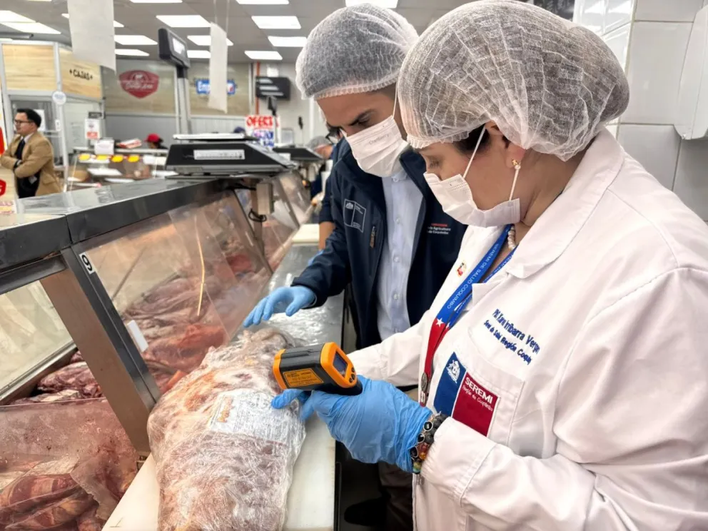 mas-de-300-fiscalizaciones-y-732-kilos-de-alimentos-decomisados-durante-fiestas-patrias-en-la-region