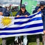 batacazo-celeste-en-el-mundial-de-perros-de-pastoreo:-dos-semifinalistas-y-un-subcampeon-del-mundo