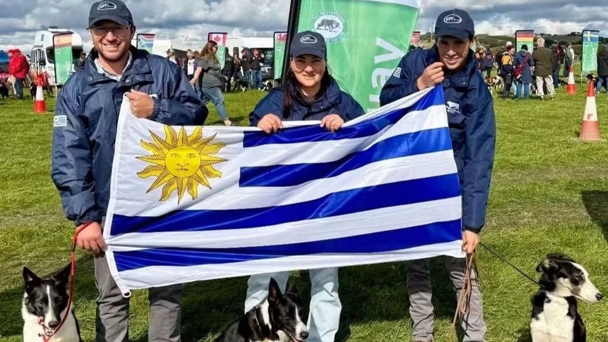 batacazo-celeste-en-el-mundial-de-perros-de-pastoreo:-dos-semifinalistas-y-un-subcampeon-del-mundo
