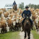 el-unicornio-neozelandes-halter-desembarca-en-uruguay-a-traves-de-un-acuerdo-con-inia-para-aplicar-su-tecnologia-de-alambrado-virtual-en-el-manejo-del-ganado