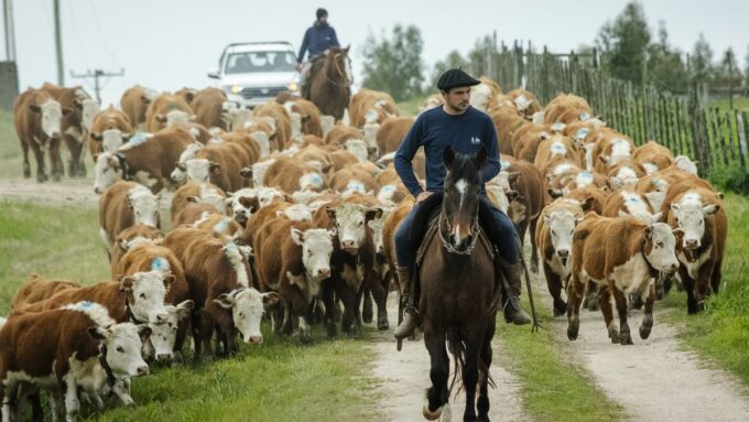 el-unicornio-neozelandes-halter-desembarca-en-uruguay-a-traves-de-un-acuerdo-con-inia-para-aplicar-su-tecnologia-de-alambrado-virtual-en-el-manejo-del-ganado