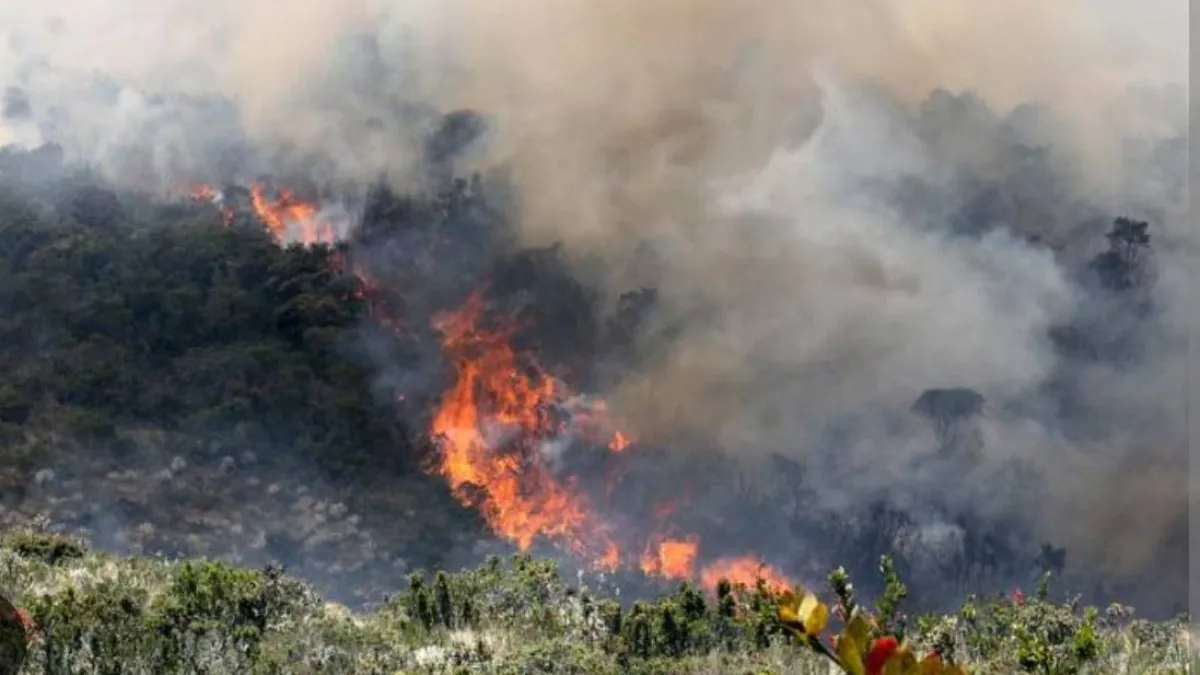 grave-incendio-en-villa-de-leyva-hoy,-24-de-septiembre:-12-cuerpos-de-bomberos,-policia-nacional,-cruz-roja,-briad-y-dcc-atienden-la-emergencia