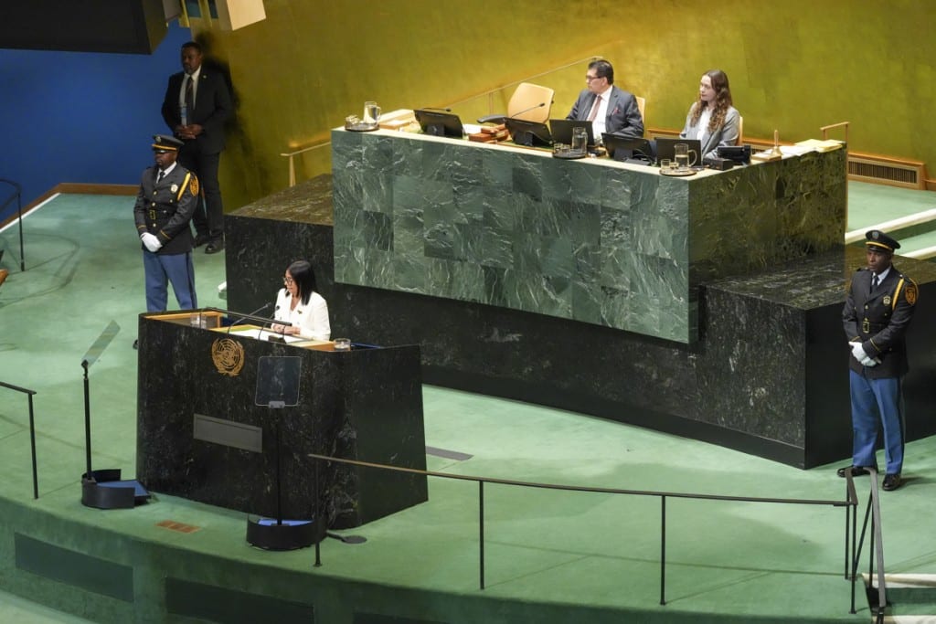 pud-exige-que-compromisos-de-delcy-rodriguez-ante-la-onu-se-traduzcan-en-hechos