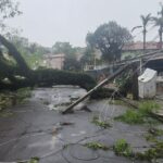 temporal-derrubou-mais-de-600-arvores-e-afetou-90%-da-rede-eletrica-em-apucarana